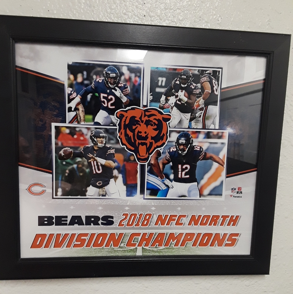 NFL Chicago Bears 2018 Division Champions Picture